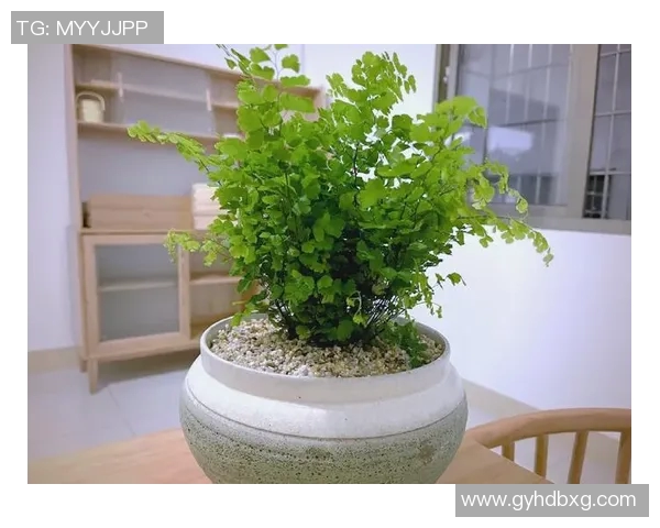 盆栽植物养护技巧全攻略，让你的家居环境更添绿意与生机