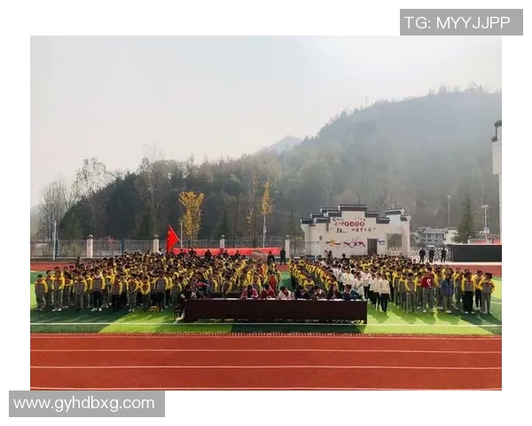 南京排球队的拼搏历程与荣耀时刻全景纪实